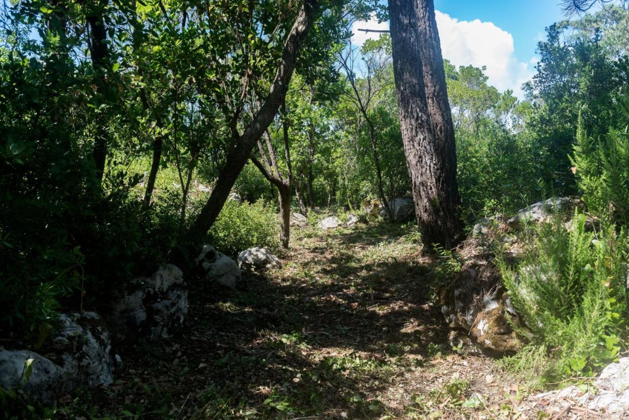Casal Das Fontainhas Alcobaça Εξωτερικό φωτογραφία