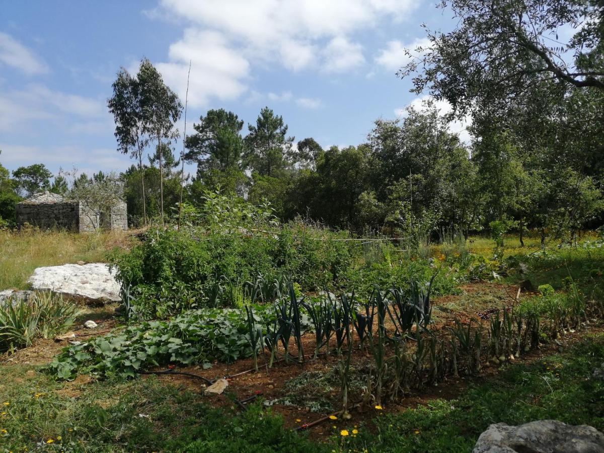 Casal Das Fontainhas Alcobaça Εξωτερικό φωτογραφία