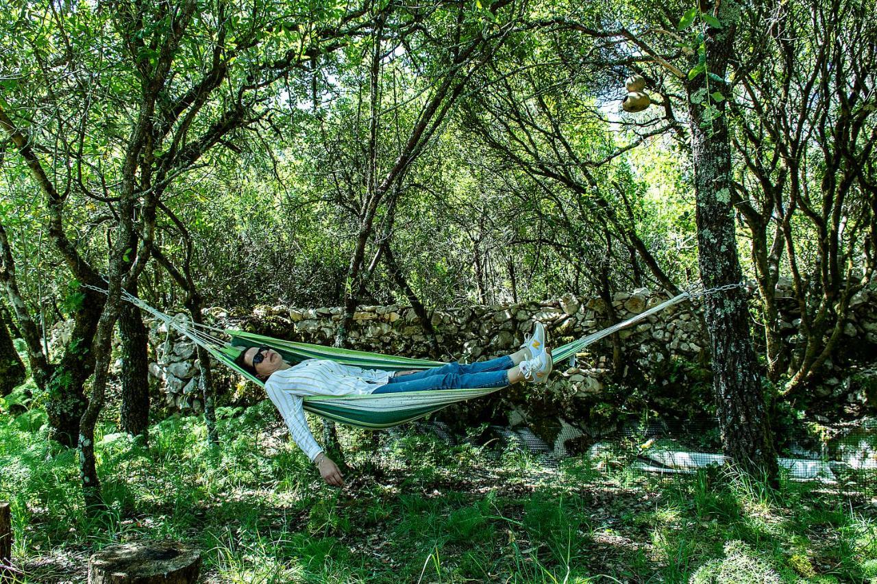 Casal Das Fontainhas Alcobaça Εξωτερικό φωτογραφία