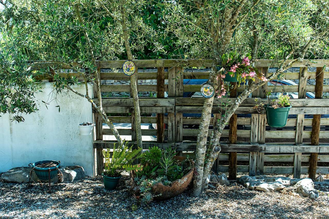 Casal Das Fontainhas Alcobaça Εξωτερικό φωτογραφία