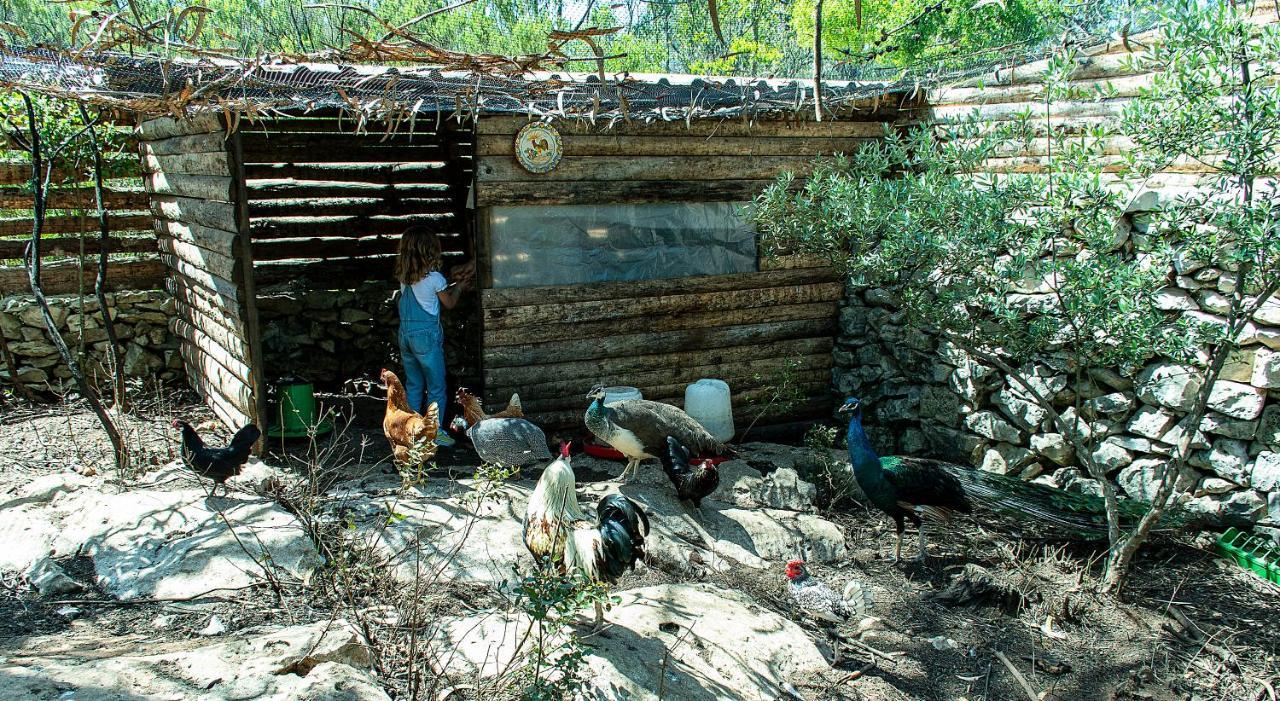 Casal Das Fontainhas Alcobaça Εξωτερικό φωτογραφία