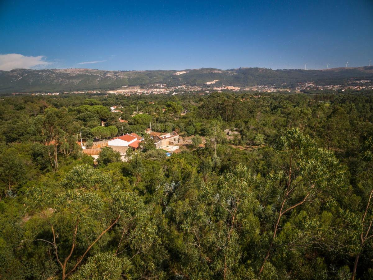 Casal Das Fontainhas Alcobaça Εξωτερικό φωτογραφία